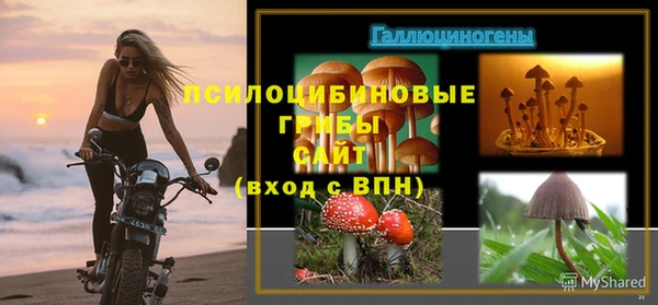 винт Наволоки