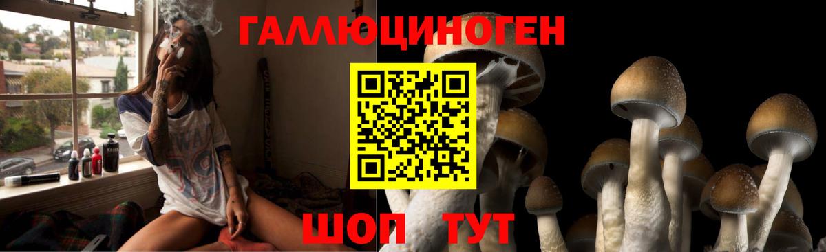 Псилоцибиновые грибы Magic Shrooms  Вход с VPN  Салават  Псилоцибиновые грибы MAGIC MUSHROOMS 